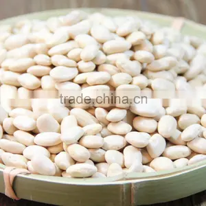White Kidney Bean Extract thumbnail-1