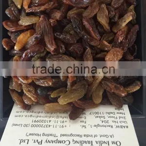 DRIED GRAPES thumbnail-3