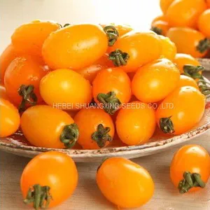 Yellow Cherry Hybrid Tomato Seeds for Sale thumbnail-1