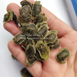 Chinese New Dried Mature Precious Tree 1000g Dalbergia Odorifera Seeds for Planting thumbnail-2