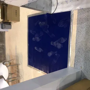 Washable Sticky Mat in Labs Which Can Keep Your Room Floor Clean thumbnail-4
