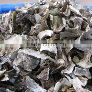 Dried Boletus/Porcini Edulis Mushroom Slices Grade AAA thumbnail-2