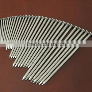 Polished Common Nails/ Common Iron Nail /common Wire Nail thumbnail-1