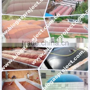 Industrial Biogas Digester thumbnail-4