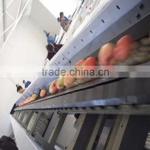 Persian Limes Sorter Machine thumbnail-1