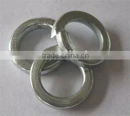 Spring Lock Washer thumbnail-1