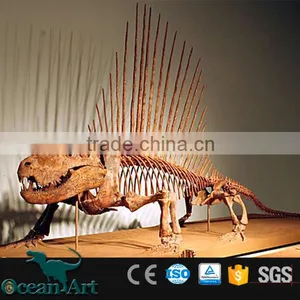 OA-DS-16051301 Replicated Dinosaur Fossils thumbnail-1