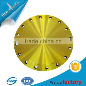 4 8 12 16 Bore Stainless Steel Blind BL ff rf BS10 Table E Flange thumbnail-4