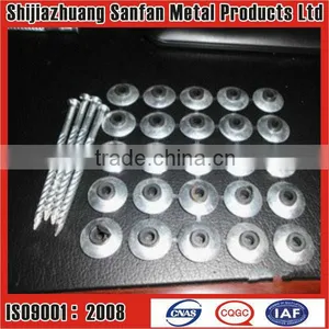 Ring Shank Zinc Galvanized Roofing Nail thumbnail-1