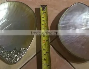 Good-looking Gold Lip Plate thumbnail-1
