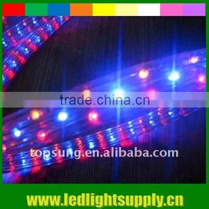 Led Low Voltage Rope Lighting Flexbile Strips Led Ropes Neon Supplier thumbnail-1