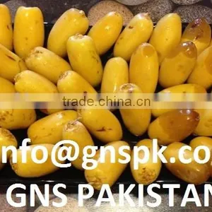 Organic Dates GMO FREE DATES Exporter From Pakistan thumbnail-4