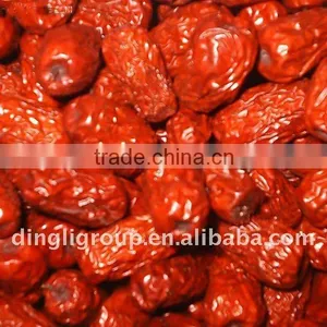 Organic Dried Date, Date Syrup, FD Date Powder, Date Beer thumbnail-1