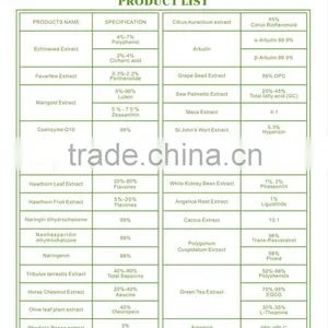 Organic Green Tea Extract for Food Supplements 98% /90%/ 80% Polyphenols thumbnail-4