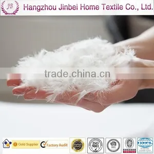 Hot Sale Washed White Duck Down Goose Down Feather thumbnail-1