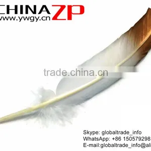 Gold Leading Supplier CHINAZP Wholesale Plume Dyed Bulk Gold Metallic Bicolourable Turkey Feathers thumbnail-2
