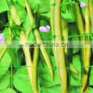 Flexible Plastic Net for Agriculture Cucumber Netting thumbnail-1