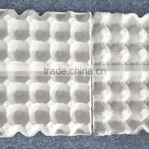 Egg Paper Tray thumbnail-2