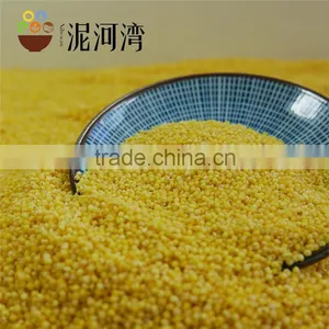 Yellow Millet Type of 8311 2015crop Nice Price thumbnail-1