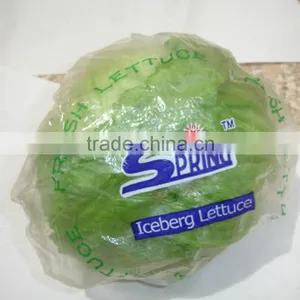 Wholesale Green Fresh Lettuce Yunnan Origin Lettuce thumbnail-2