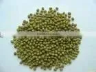 Chinese Dried Green Mung Bean thumbnail-1