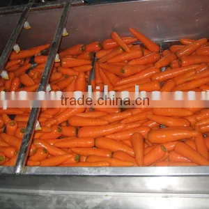 Chinese Fresh Carrot thumbnail-1