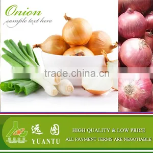 Fresh Onion Supplier Manufacturer thumbnail-3