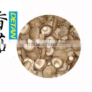 China Shiitake Spawn Bag Supplier Shiitake Mushroom Growing Log thumbnail-5