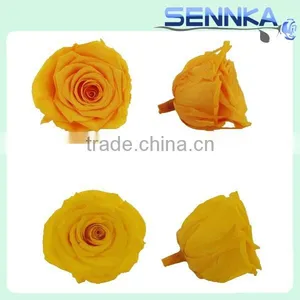 High Quality Big Preserved Flowers Wholesale Natural Preserved Flower thumbnail-4