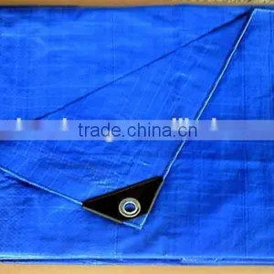 PE Material Blue Plastic Sheet thumbnail-3