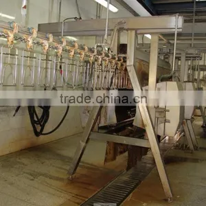 Broiler Chicken Slaughter/Chicken Processing Equipment for Slaughter 008618052092685 thumbnail-5