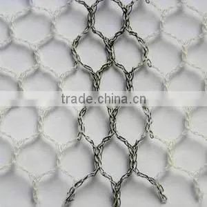 High Quality Agriculture Anti Bird Netting/bird Netting Manufacture/bird Netting thumbnail-3