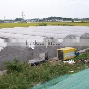 Poly-Film Greenhouse thumbnail-3