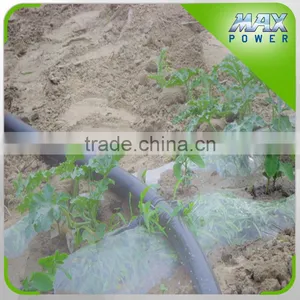 Single Span Greenhouse Micro Spray Tape thumbnail-3