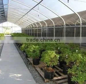 Single Span Low Cost Agricultural Greenhouse Construction thumbnail-1