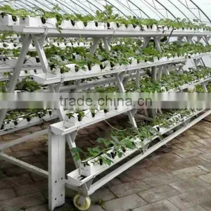 Plastic Strawberry Grow Box thumbnail-3