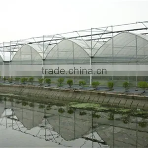 Galvanized Tube Structure Multi-Span Greenhouse Used for Growing Plantings thumbnail-6