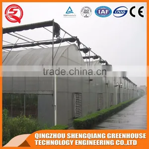 Multifunction Plastic Film Greenhouse for Agricultural Farming thumbnail-1