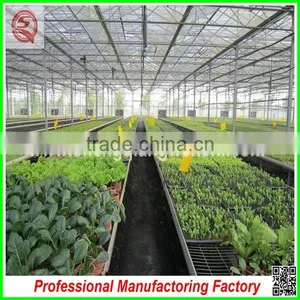 Large and Practical PC Sheet Multi-span Greenhouse With Professional Manufacturer thumbnail-5