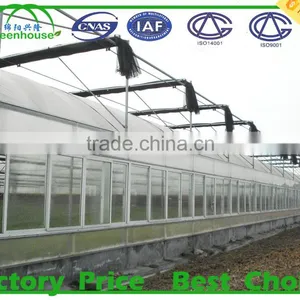 China Agricultural Greenhouse thumbnail-3