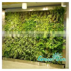 Interiorscaping Living Wall,green Wall System,vertical Garden Living Wall/UV Resistant Green Wall System thumbnail-3