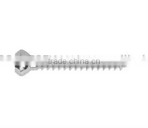 Bone Screws thumbnail-1