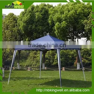 Hot Sale Advanced Quality 2.5x3m Slant Leg Folding Canopy thumbnail-1