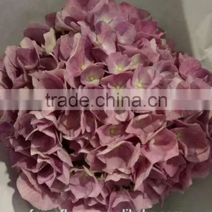 Fresh Cut Dark Pink Hydrangea Artificial Flower For Sale thumbnail-4