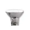 3W Low-power LED Grow Light thumbnail-1