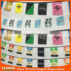 Custom Indoor Bunting and String Flag thumbnail-2