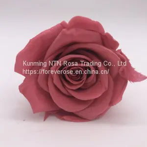 Preserved Fresh Flower Home Decoration Wedding Gifts thumbnail-1