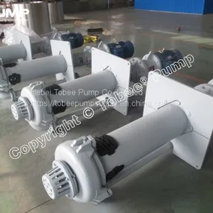 Standard 40mm Heavy Duty Cantilever Sump Slurry Pump thumbnail-5