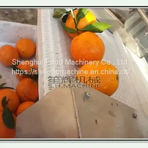 Bubble Ozone Vegetable Washing Machine thumbnail-3