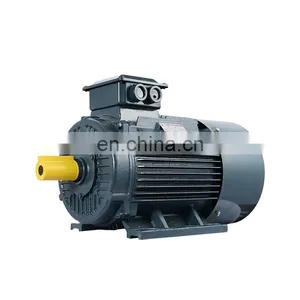Y2 Series Three-phase Induction Motors Factory Direct thumbnail-6